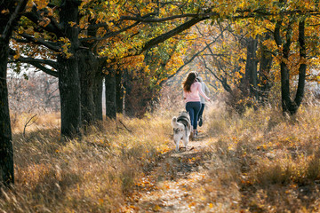 Girl playing with a dog