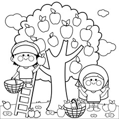 Children picking apples under an apple tree. Vector black and white coloring page.