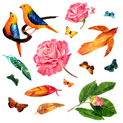 Vintage style set of watercolor drawings: birds, flowers, butter