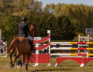 saut d'obstacles, chevaux de course