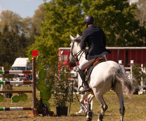 saut d'obstacles, chevaux de course