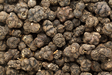 Organic Dried Cheese Fruit or Noni (Morinda citrifolia) seeds. Macro closeup background texture. Top View.