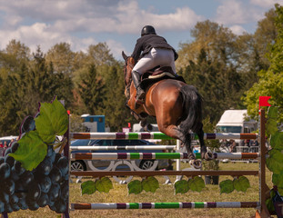 saut d'obstacles, chevaux de course