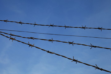 Rusty barbed wire, blue sky background