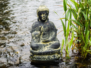 Buddha im Fluß