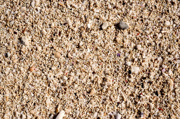 Pebbles, corals and sand under water