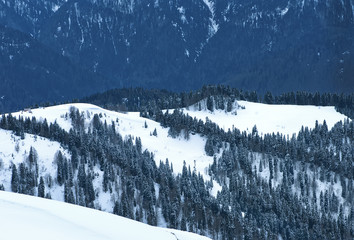 Fototapeta na wymiar Snow in mountains.