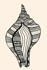 Sea Shell with abstract pattern
