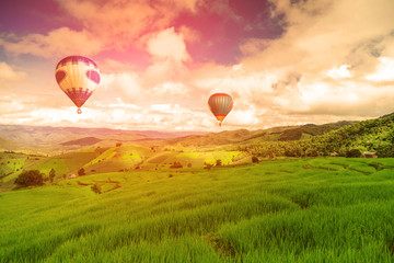 Balloon flying on rice field, Rice field in mountain or rice terrace in the nature, Relax day in beautiful location, rice field in the mountain and travel place for relax and feeling nice