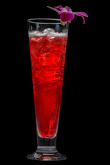 Bloody Mary Cocktail