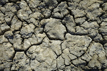 Climate warming dry chapped land