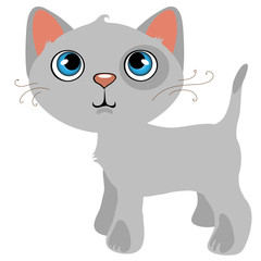 Pensive gray cat with blue eyes, cartoon pet