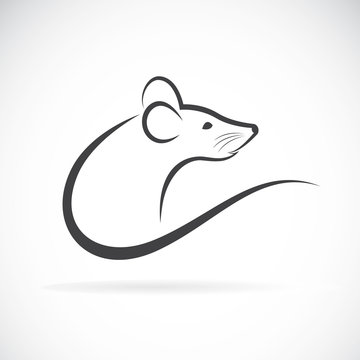Vector of a rat design on a white background. Animals.