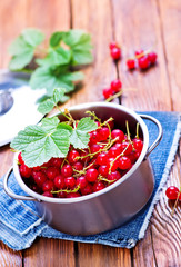 red currant