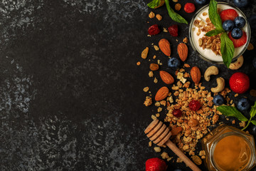 Tasty ingredients (granola, honey, berries, yogurt and nuts) for