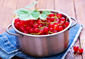 red currant