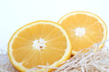 Cat two half orange