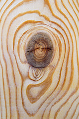 Fototapeta na wymiar pattern wooden board with knot. Close-up