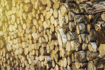 Stack of firewood
