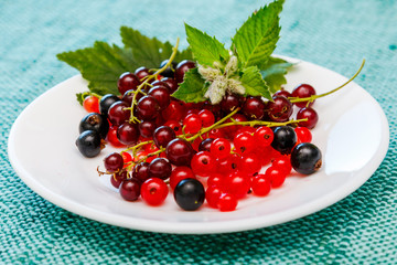 Currants on the plate