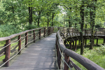 The wooden walkway with a railing in the forest.