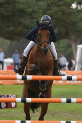 concours hippique