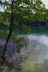 Klarer Bergsee