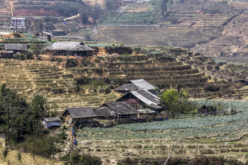 tribal village