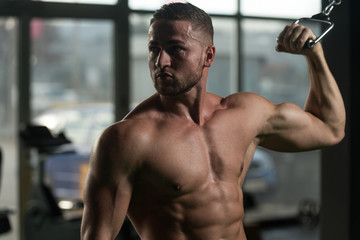 Obraz na płótnie Canvas Biceps Exercise In A Gym