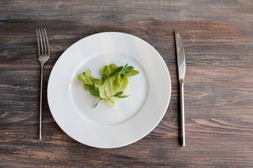 Concept of diet and restriction. Single green leaf of salad on a plate. White background.