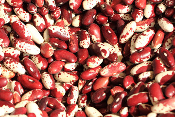 violet beans texture