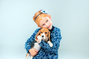 The happy girl and a beagle puppie on gray background