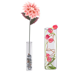 Flower decorative glass vase, interior decoration