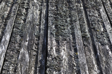 Obraz premium Wooden wall Nice background for wallpaper.