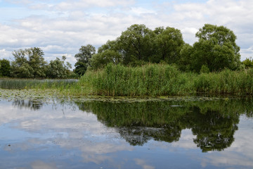 Fototapeta na wymiar Havel river at summer time (Brandenburg, Germany).