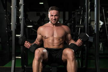 Fototapeta na wymiar Biceps Exercise With Dumbbells In A Gym