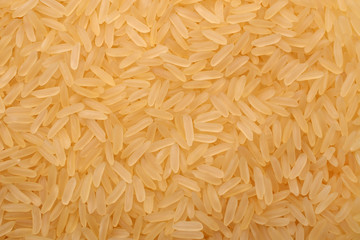 Golden rice, for backgrounds or textures
