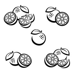 Oranges set. Vector
