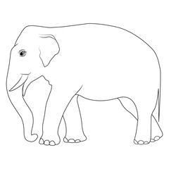 Elephant Line Art
