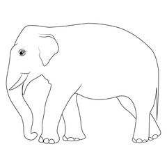Elephant Line Art
