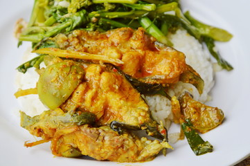 spicy curry fish and stir fried flower Chinese cabbage with pork on rice