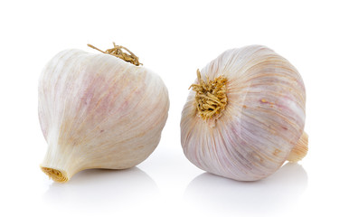 Fototapeta premium garlic on white background