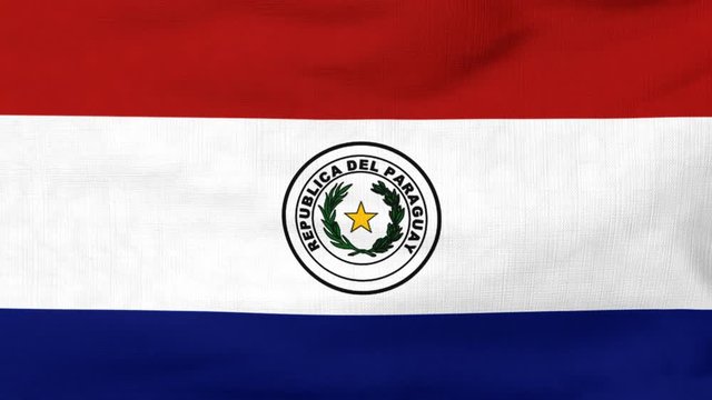 National flag of Paraguay flying and waving on the wind. Sate symbol of Paraguayan nation and government. Computer generated animation.