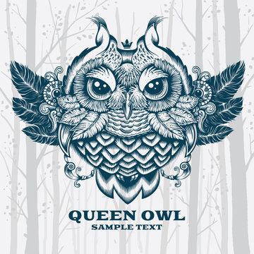 Illustration Owl. Decorative graphics on White background