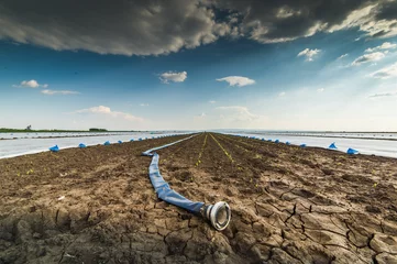 Foto op Canvas Dry land - drought - and hose for watering © Dusan Kostic