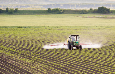 Obraz premium Tractor spraying soybean field