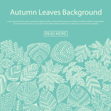Background with different tree leaves such as oak and maple, chestnut and birch, aspen and linden, poplar and ginkgo, tulip tree and sassafras, beech, hornbeam, holly. Autumn collection.