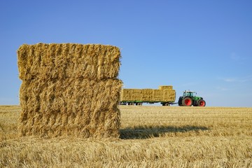 Ernte, Strohballen zum Abtransport bereit