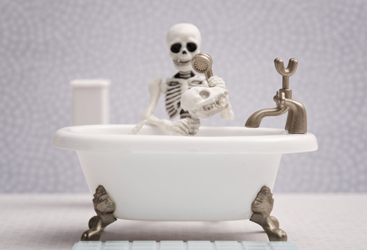 Skeleton dog getting bath