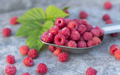 raspberries in the metallic spoon and green leaf